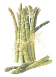 cliparts_asperge