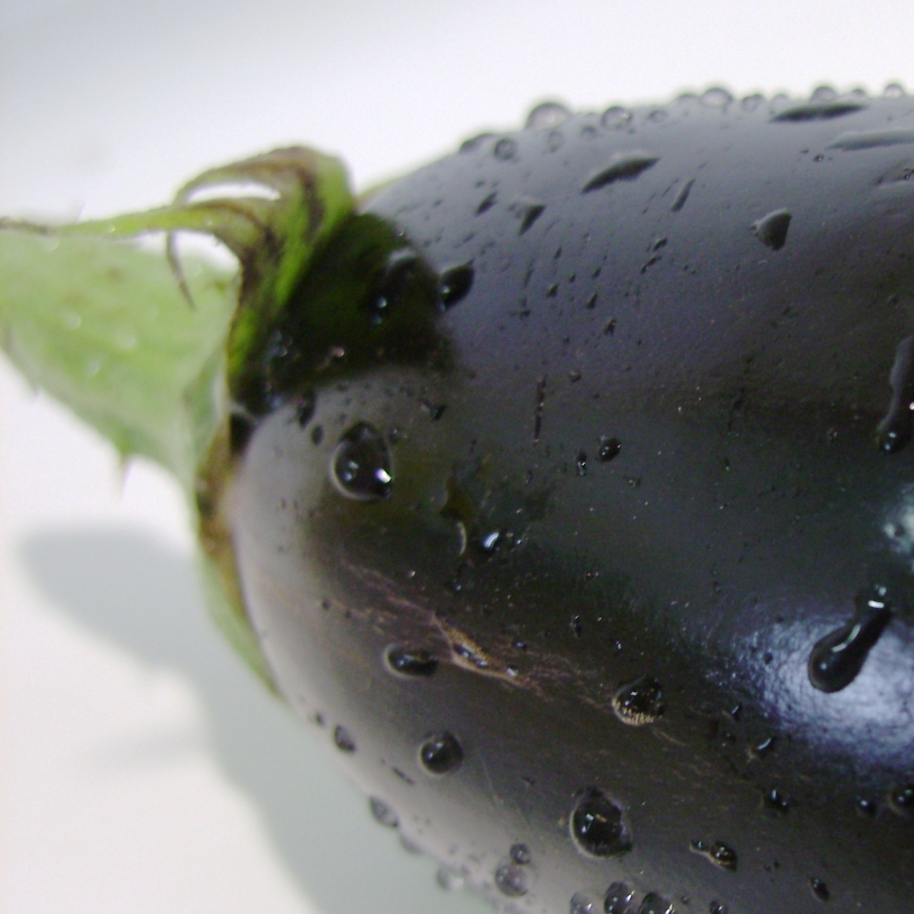 Aubergine_2