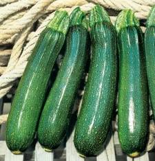 Courgette