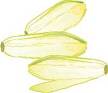 endive2