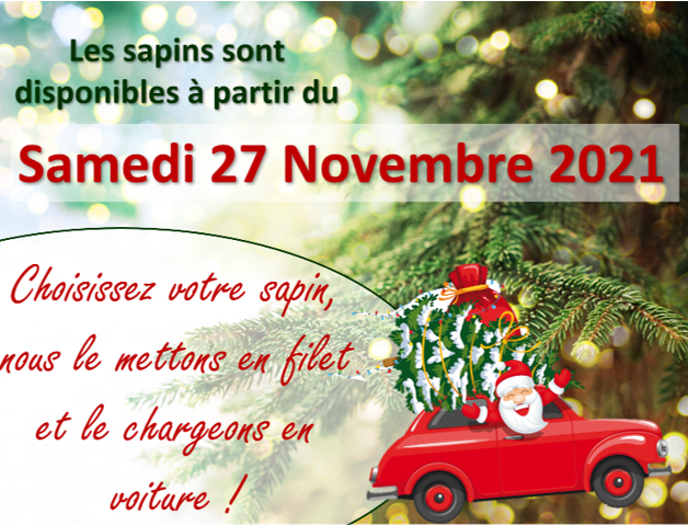 sapins noel petit