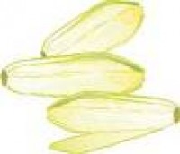 Endives