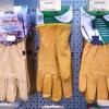 Gants et protections