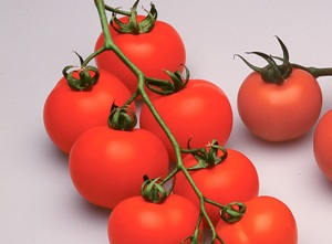 Tomates